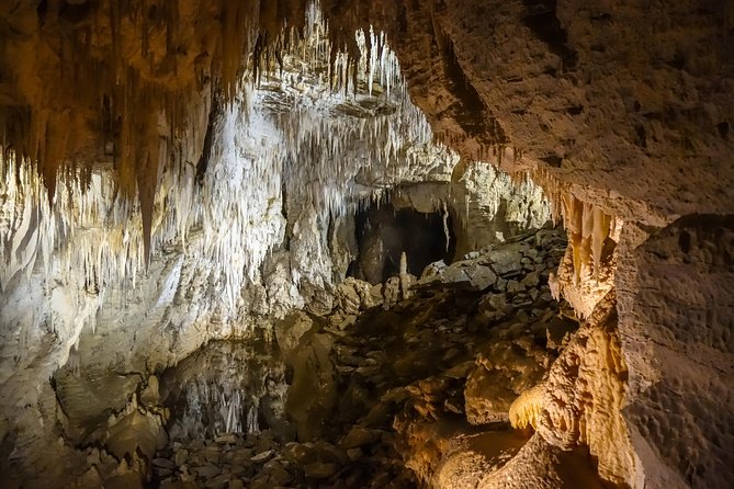 Private Waitomo Caves Tour - Auckland Tour House - Transportation Details