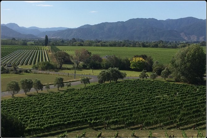 Private Wine Gourmet and Scenic Delights Tour From Picton - Optional Activities