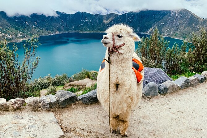 Quilotoa Tour Full Day With Lunch - Preparation Tips