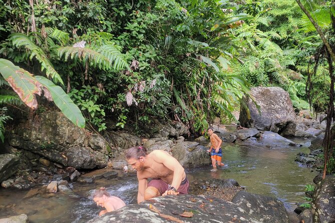 Rain Forest Waterfall Discovery With Natural Mud Bath - Accessibility and Transportation