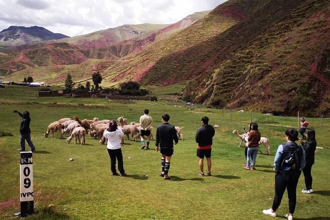 Rainbow Mountain Palccoyo 1 Day ( Cusco ) - Pickup Information and Logistics