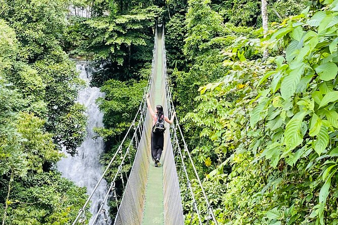 Rainforest Waterfall Hike, Hanging Bridges, and Cultural Lunch in Local Home - What to Expect