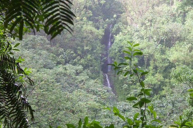 Rainforest Waterfall Trail and Shuttle Service - Amenities at the Trailhead