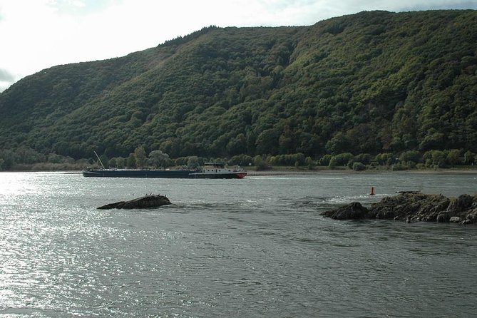 Rhine Valley Trip From Frankfurt Including Rhine River Cruise - Customer Feedback Insights