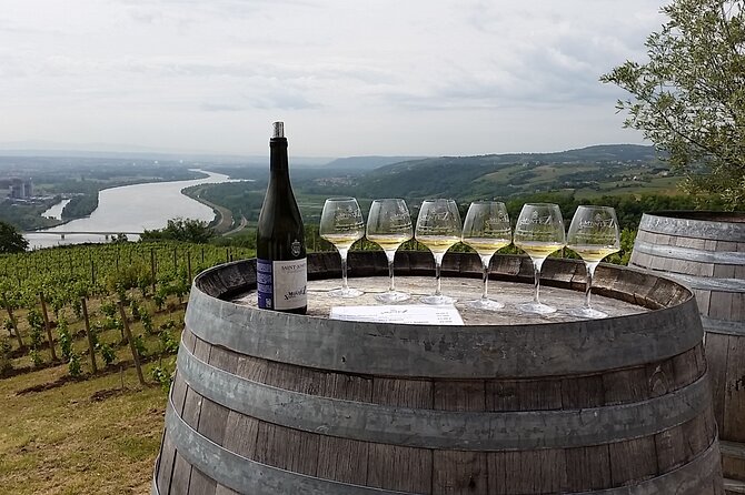 Rhône Valley Wine Tasting Private Day Tour From Lyon - Wine Regions Explored