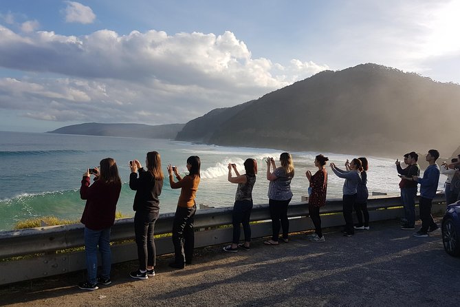 Ride Tours 2 Day Great Ocean Road Trip for 18-35 Year Olds - Health and Safety Guidelines