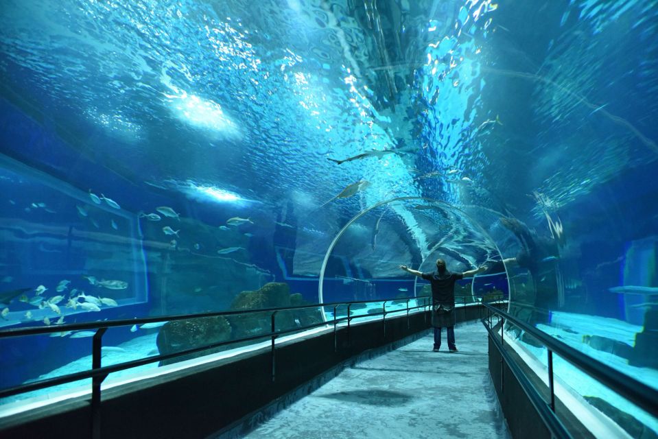 Rio De Janeiro: Marine Aquarium Entry Tickets - Experience Highlights