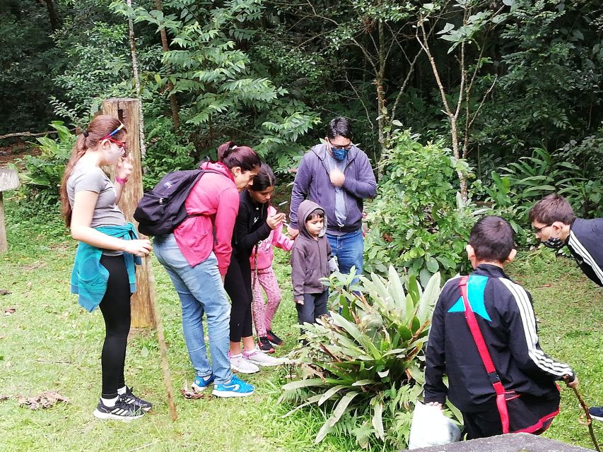 Rio De Janeiro: Tijuca Forest Waterfall of Souls Hike - Detailed Description