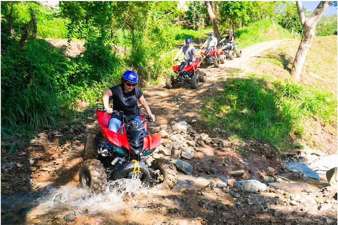 ROATAN Eco-Safari: Dune BUGGY, Wildlife, History, Beach Adventure - Inclusions for Your Tour