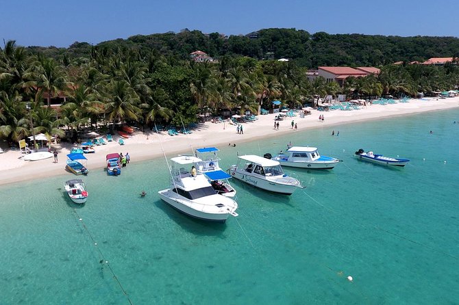 Roatan VIP Free-Style Private Tour - Accessibility Features