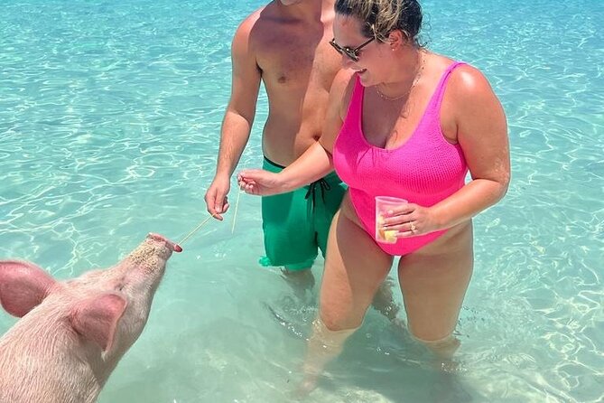 Rose Island Private Beach: Swimming With the Pigs - Customer Feedback