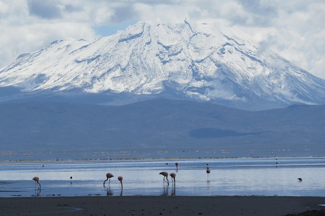 Salinas Lake - National Reserve PRIVATE TOUR Min 2 People - Accessibility Features