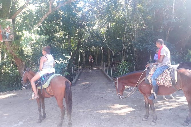 Samana- Levantado Key - Limon Waterfall - Horseback Riding - Transportation Logistics