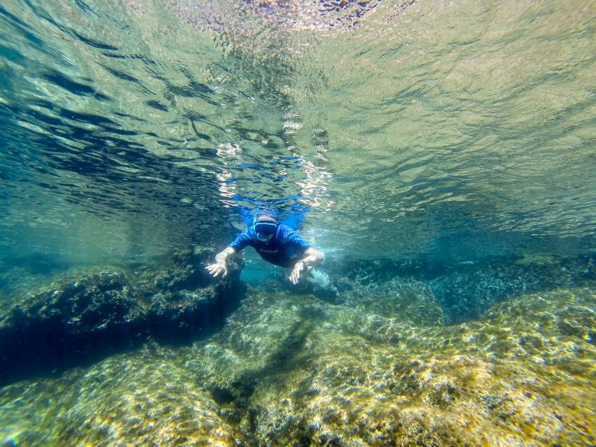 San Terenzo: Portovenere Natural Park Snorkeling Trip - Marine Life Exploration