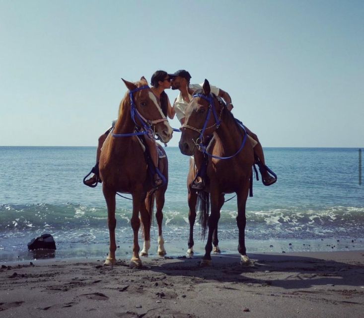 Santorini Fun Day: Horseriding- Wine Tasting - Tapas - Exploring Santorinis Wineries