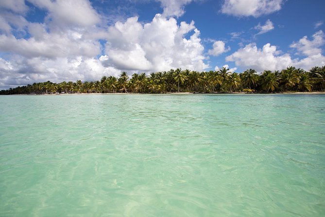 Saona Island Day Trip From Punta Cana With Lunch and Open Bar - What to Expect at Saona Island