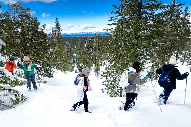 Scenic Snowshoe Adventure in South Lake Tahoe, CA - Requirements for Participants