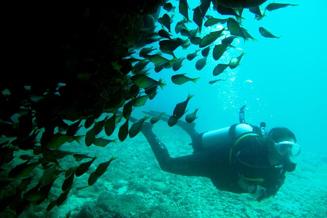 Scuba Dive Ningaloo Reef - Inclusions and Amenities