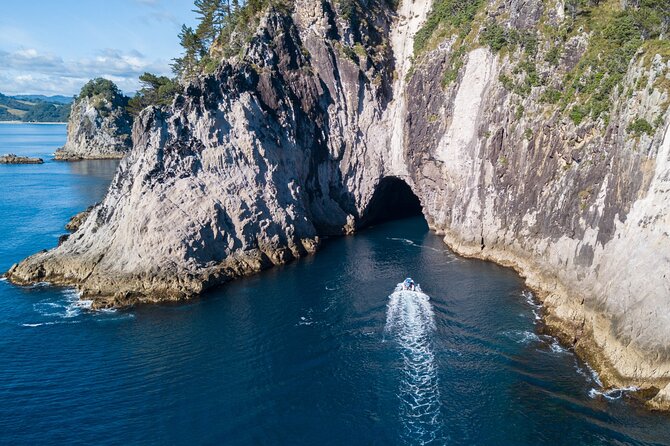 Sea Cave Adventures in Whitianga - Guest Reviews and Feedback