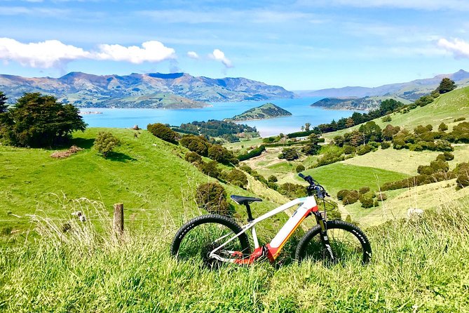 Sea to Summit- Electric Mountain Biking Tour in Akaroa - Health and Safety Considerations