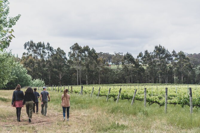 Secret Delights: Half-Day Wine, Coffee, Artisan and Forest Tour - Experience Structure