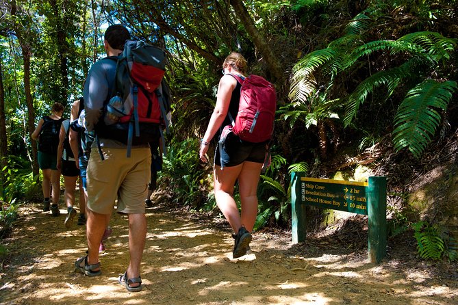 Self-Guided Queen Charlotte Track Walk From Picton - Physical Fitness Requirements