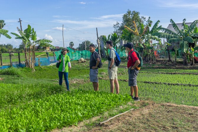 Siem Reap Countryside & Sunset Vespa Tour - Tour Schedule