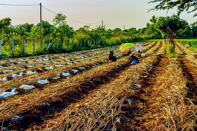 Silk Island Private Half-Day Tour From Phnom Penh - Meeting and Pickup Details