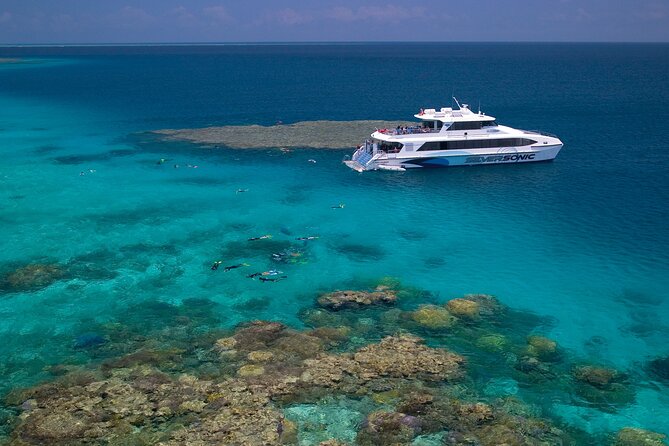 Silversonic Outer Great Barrier Reef Cruise From Port Douglas - Activities and Experiences