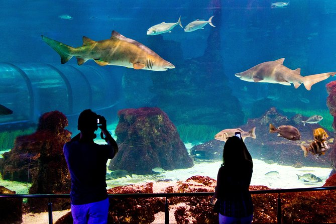 Skip the Line: Barcelona Aquarium Ticket - Visitor Amenities and Facilities