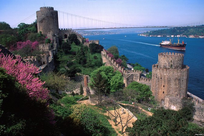 Skip-The-Line:1 or 2 Days Private Istanbul Guided Tour - Accessibility Features