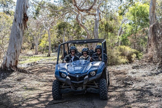 Small-Group Buggy Tour at Little Sahara With Guide - Accessibility Information