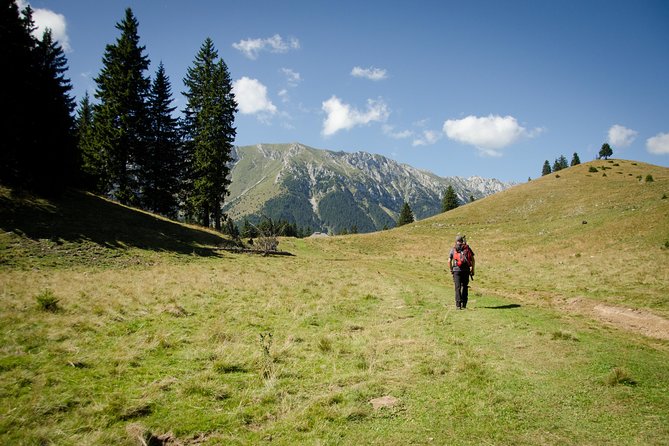 Small-Group Day Trip in Romanian Authentic Mountain Villages From Brasov - Exploring Piatra Craiului National Park