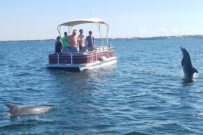 Small Group Florida Keys Eco Tour by Boat - Whats Included