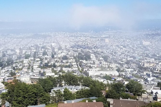 Small-Group Half-Day Afternoon City Tour of San Francisco - Accessibility Information