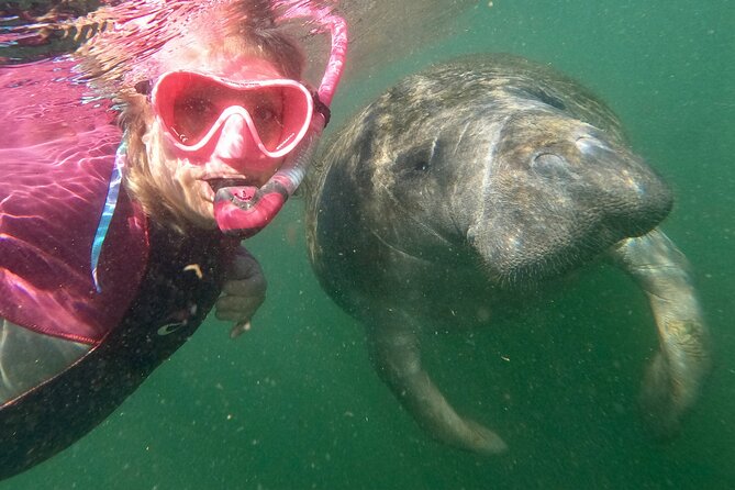 Small Group Manatee Snorkel Tour With In-Water Guide and Photographer - Meeting and Pickup Details