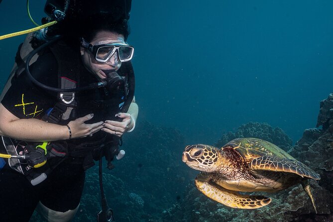 Small Group Shark and Turtle Dive for Certified Divers (Shore) - Health and Safety