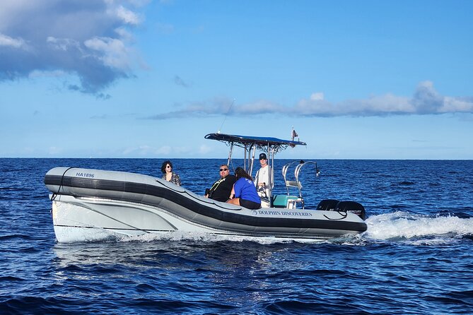 Snorkel Tour to Captain Cook Monument Kailua-Kona, Big Island - Best Time to Visit
