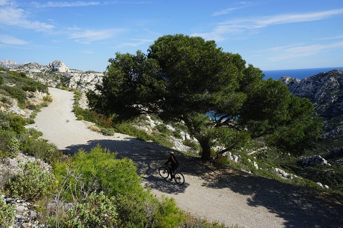 Sormiou Calanques National Park Electric Bike Tour From Marseille - Safety and Accessibility Information