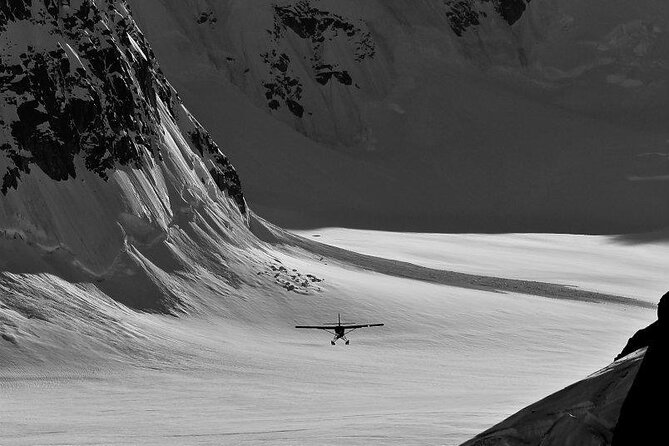 South Side Explorer With Glacier Landing - Highlights From Reviews