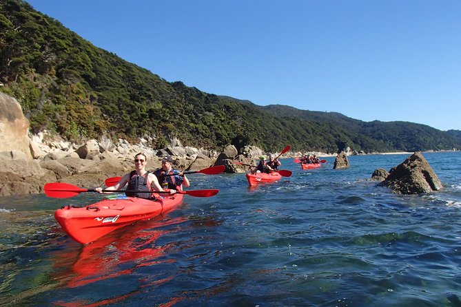 Southern Duo Kayak & Walk Tour - Tour Requirements