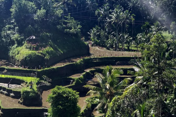 Spectacular Eastern Bali Tour - Pickup and Meeting Points