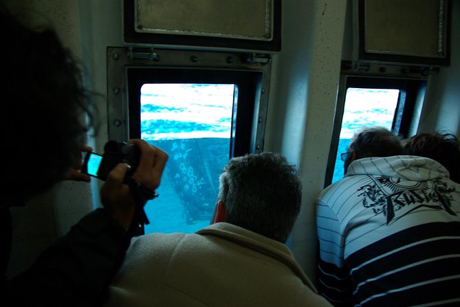 Spirit of Hervey Bay Whale Watching Cruise - What to Expect on Board