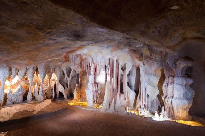 Springbrook Andtamborine Rainforest Tour Incl Natural Bridge and Glow Worm Cave - Whats Included in the Tour