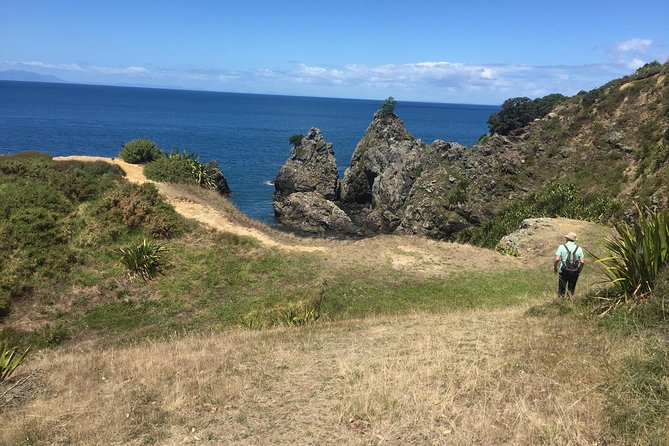 Stunning Auckland East Coast Walk & Wine Private Tour - Pickup and Timing