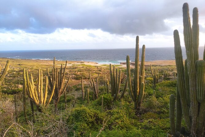 Sunrise Hike With Private Guide to Natural Bridge (North Coast) - Meeting and Pickup Details