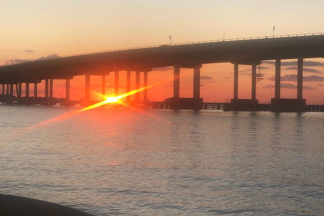 Sunset Dolphin Watching Cruise in Destin Harbor - Health and Safety Guidelines