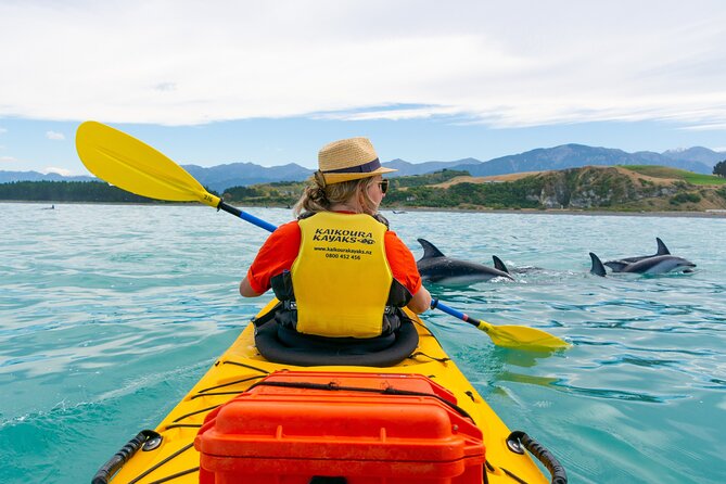 Sunset Evening Kayaking Tour - Kaikoura - Equipment Provided