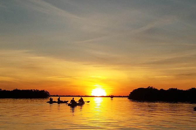 Sunset Tour Mangrove, Dolphins, Manatee #1 Rated in Cocoa Beach - Meeting Locations