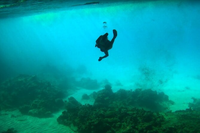 Swim With Turtles at Turtle Bay, Curacao: Boat, Blue Room Cave - Safety Guidelines and Accessibility